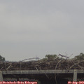 14_15-mast.jpg