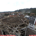 14_15-nest.jpg