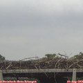 14_20-mast.jpg