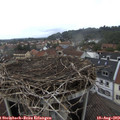 14_25-nest.jpg