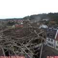 14_30-nest.jpg