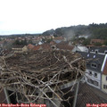14_35-nest.jpg
