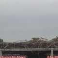 14_40-mast.jpg