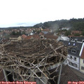 14_40-nest.jpg