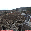 14_45-nest.jpg