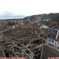 14_50-nest.jpg