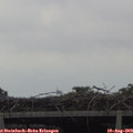 14_55-mast.jpg