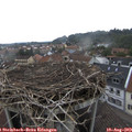 15_00-nest.jpg