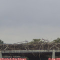 15_05-mast.jpg