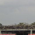 15_10-mast.jpg