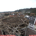 15_10-nest.jpg