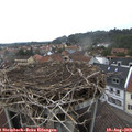 15_15-nest.jpg