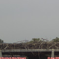 15_30-mast.jpg
