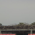 15_40-mast.jpg