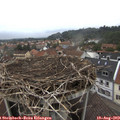 15_40-nest.jpg