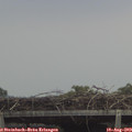 15_45-mast.jpg