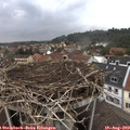 15_45-nest.jpg