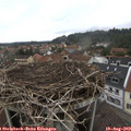 15_55-nest.jpg