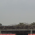 16_00-mast.jpg