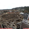 16_00-nest.jpg