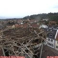 16_10-nest.jpg