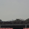 16_20-mast.jpg