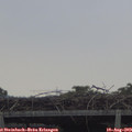 16_25-mast.jpg