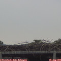 16_30-mast.jpg