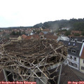 16_30-nest.jpg