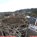 16_35-nest.jpg