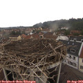 16_40-nest.jpg