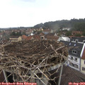 16_45-nest.jpg
