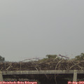 17_15-mast.jpg
