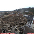 17_15-nest.jpg