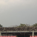 17_20-mast.jpg