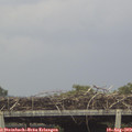 17_25-mast.jpg