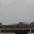 17_30-mast.jpg