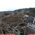 17_40-nest.jpg