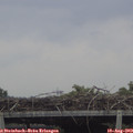 17_45-mast.jpg