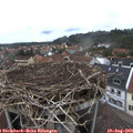 17_45-nest.jpg