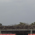 17_55-mast.jpg