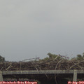 18_00-mast.jpg