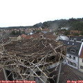 18_00-nest.jpg