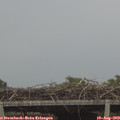 18_10-mast.jpg