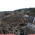 18_15-nest.jpg