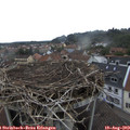 18_25-nest.jpg