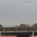 18_30-mast.jpg