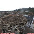 18_30-nest.jpg