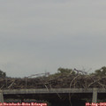 18_35-mast.jpg