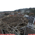 18_35-nest.jpg